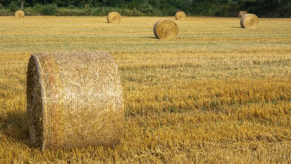 Bale netting - Image 4