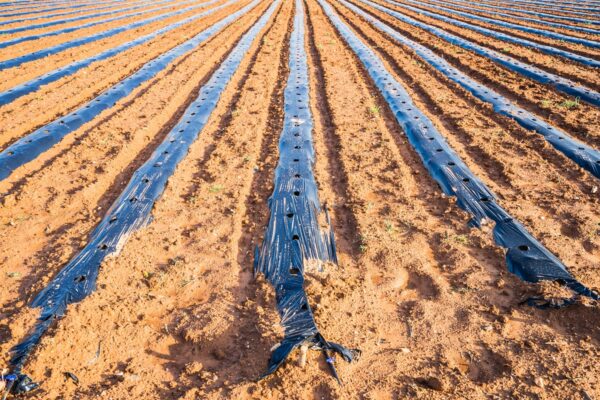 Agricultural & Packaging Films - Image 5