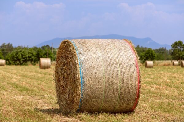 Bale netting - Image 5