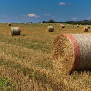 Bale netting
