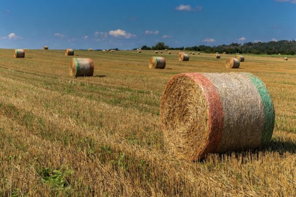 Bale netting