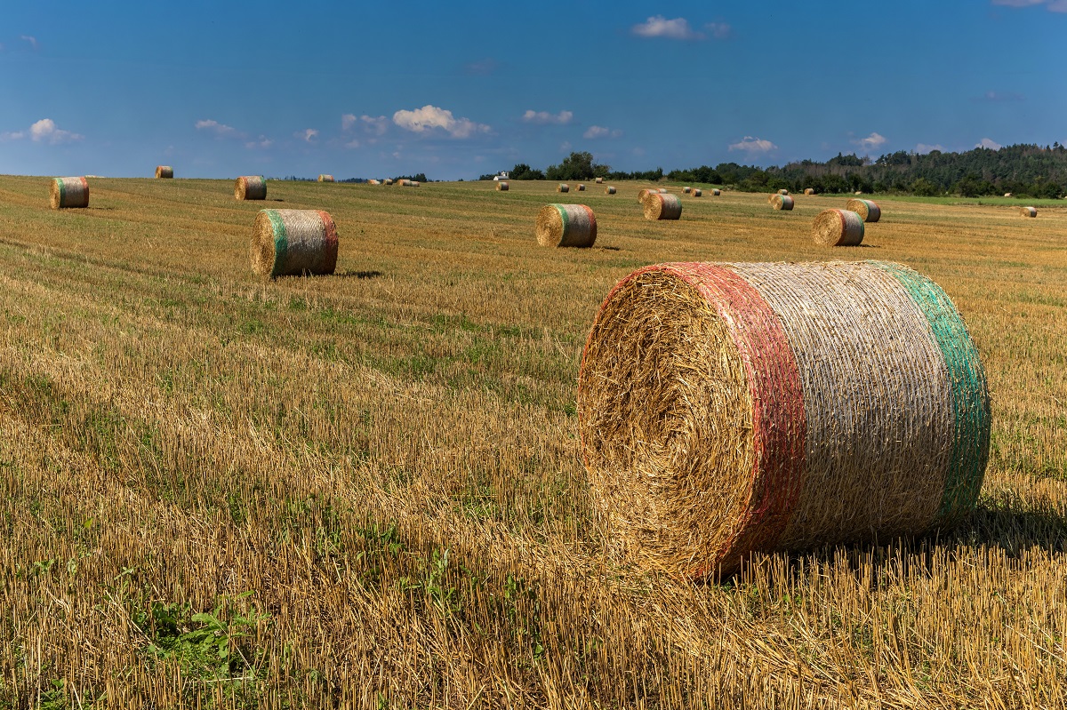 Bale netting