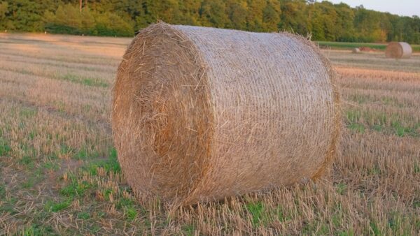 Bale netting - Image 6