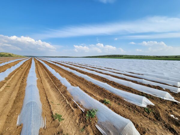 Agricultural & Packaging Films - Image 7