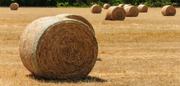 Bale netting - Image 2