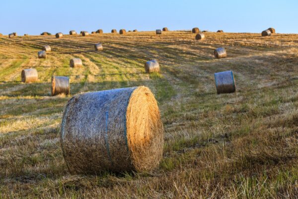 Bale netting - Image 7