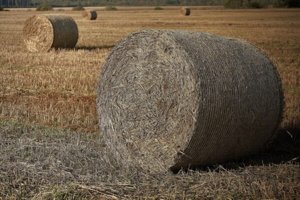 Bale netting - Image 3