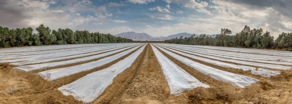 Agricultural & Packaging Films - Image 8