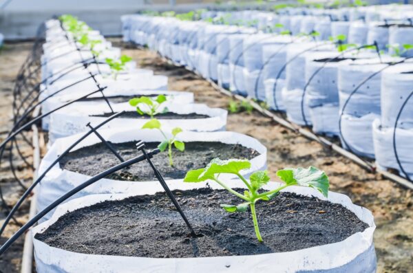 Agricultural & Packaging Films - Image 9